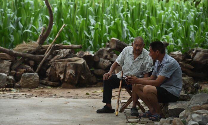 China Is Facing Likely Corn Shortage After Summer of Natural Disasters