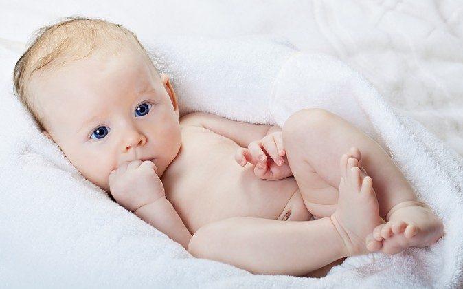 Plastics Chemical Linked to Changes in Baby Boys’ Genitals