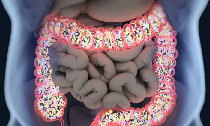 How the Gut Cures and Creates Disease