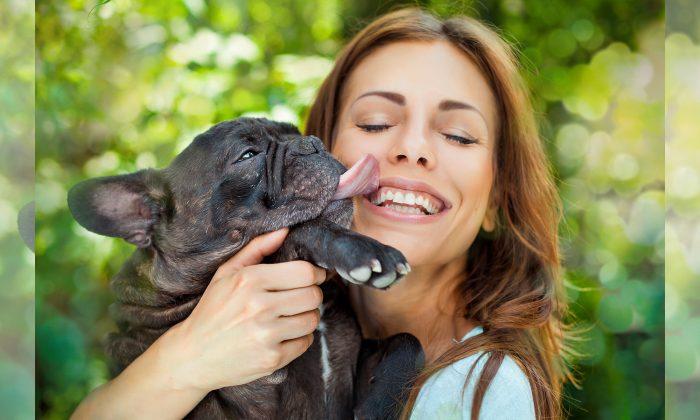 Here’s the Cold Truth Why You Should Never Let Your Dog Lick Your Face