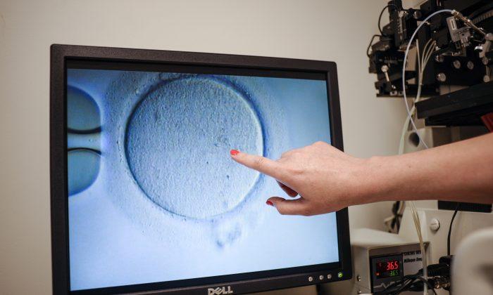 Alabama AG Has No Plans to Enforce Controversial IVF Ruling