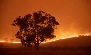 Discarded Batteries Pose Risk in Looming Australian Bushfire Season