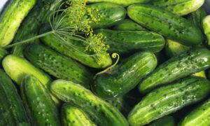 How to Make Homemade Cucumber Pickles 3 Ways 