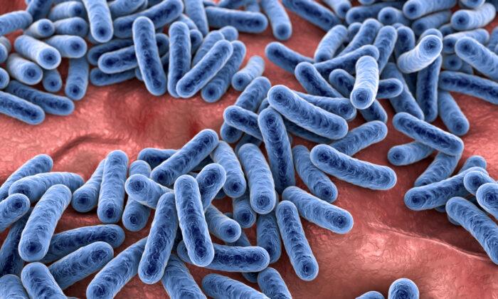 Killing Bacteria with Antimicrobials and Antibiotics May Be Shortsighted, According to New Science About the Microbiome