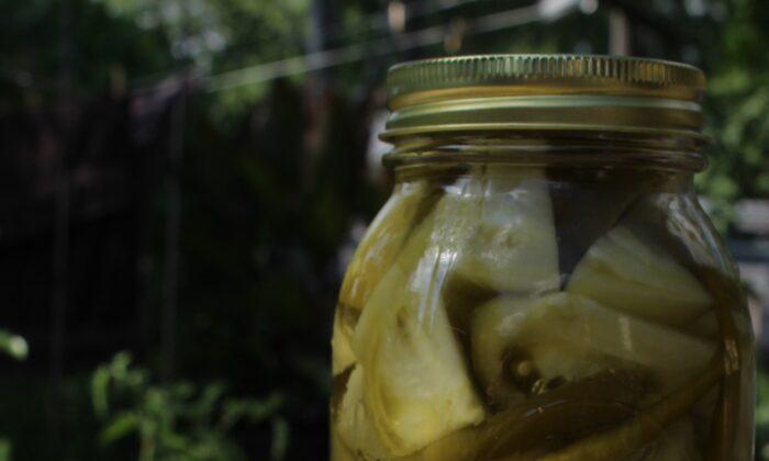 Spicy Green Tomato Pickles