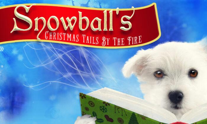 Snowball's Christmas Tails by the Fire