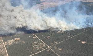 Australia's Bushfire Risk Increases This Spring