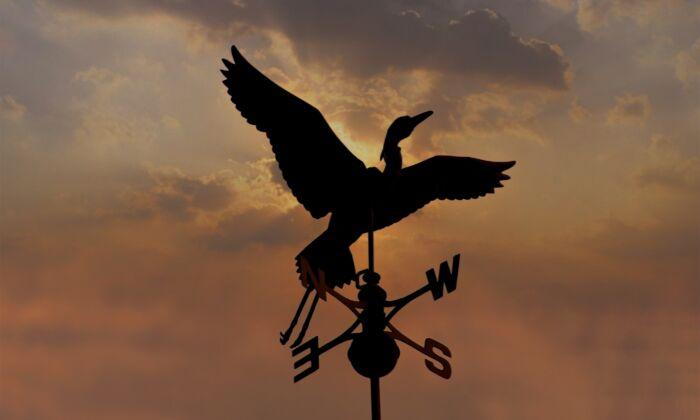 Install a Weather Vane