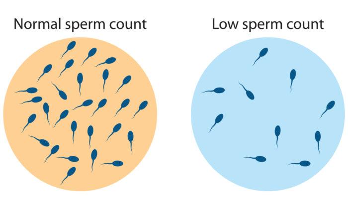 Sperm Counts Declining Worldwide at Accelerating Rate: New Meta-Analysis