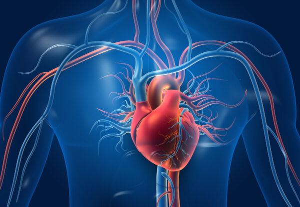 COVID-19 May Increase Risk of Heart Disease–Know the Distress Signals and Tips to Prevent