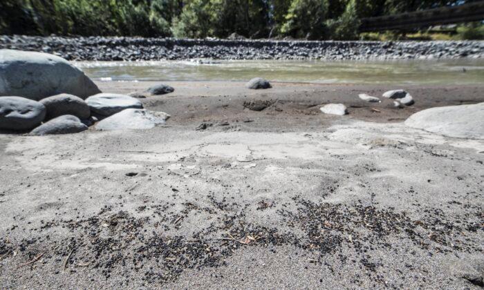 Dam Owner Guilty in Field Turf Pollution of Washington River
