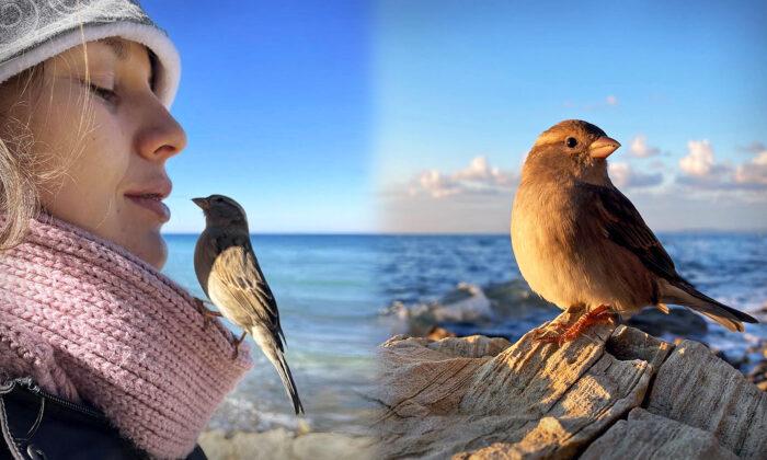 VIDEO: Couple Brings Baby Sparrow Home Just to Keep Her Alive—3 Years Later, They’re Inseparable