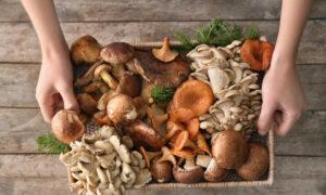 New Superfood? Mushrooms May Prevent Cognitive Impairment, Reduce Dementia Risk After COVID-19 Infection