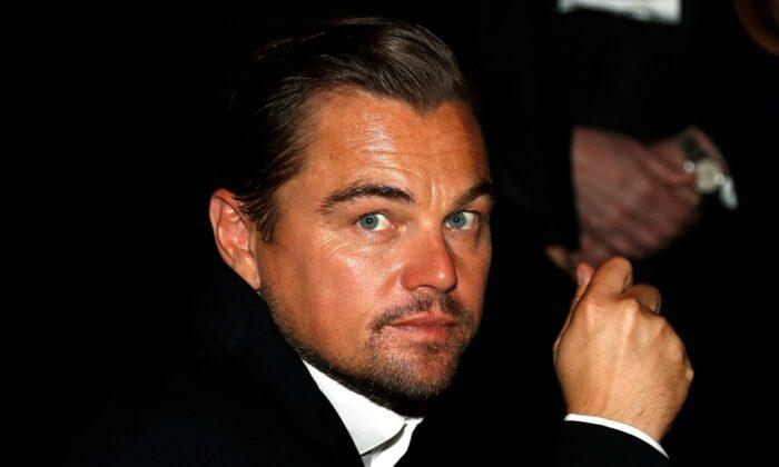 Leonardo DiCaprio Puts Swift Parrot Conservation Into Global Spotlight