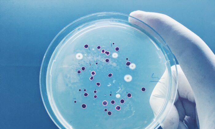 The E. Coli Super-Pathogens You Should Know About