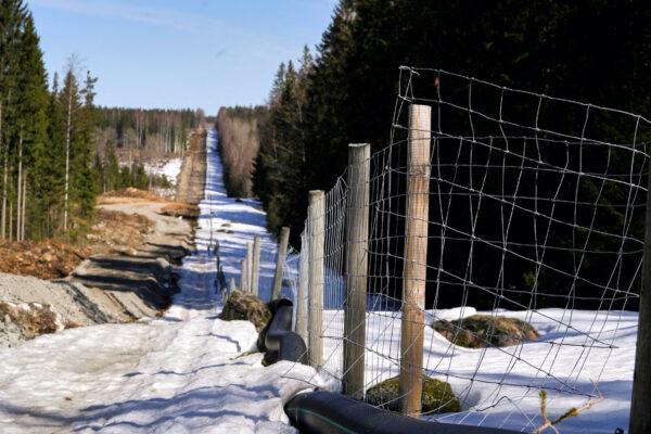 Border fence with Russia in Pelkola, Finland, on April 14, 2023. (Janis Laizans/Reuters)
