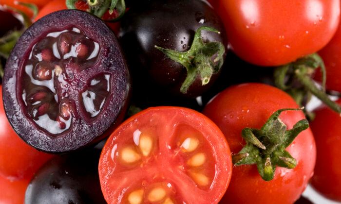 New Purple Tomato Reaching Grocery Shelves This Year