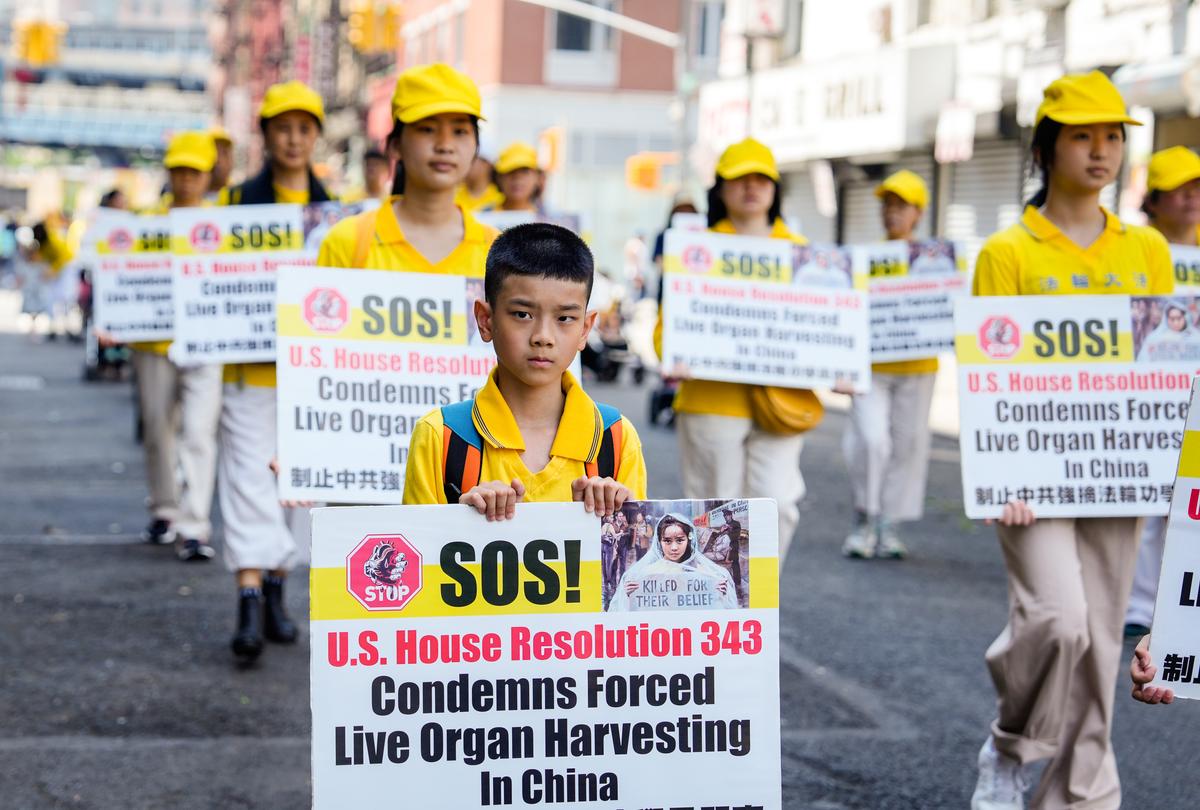 NGOs Raise Concerns Over South Korea's 'Complicity' in Forced Organ Harvesting in China