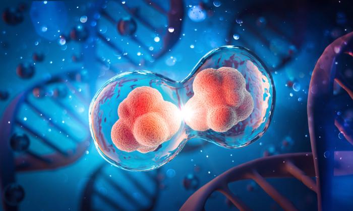 ‘Hope for Healthy Longevity’: Study Discovers Trigger for Cell Aging
