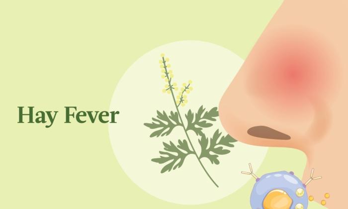 The Essential Guide to Hay Fever (Allergic Rhinitis): Symptoms, Causes, Treatments, and Natural Approaches