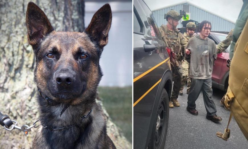 Police K9 Helps Takes Down Fugitive Murderer in the Woods After 14-day Manhunt in Philly