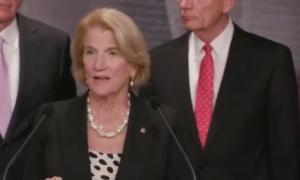 Illegal Immigration Numbers 'Stagger the Imagination': Republican Senators Demand Action to Secure Border