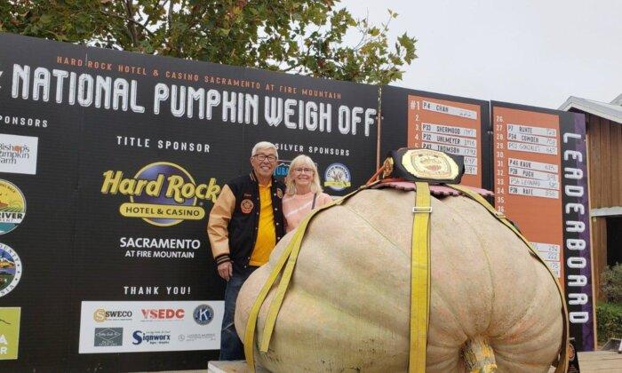 BC Man Takes One-Tonne Pumpkin on Road Trip to Win California Weigh-Off