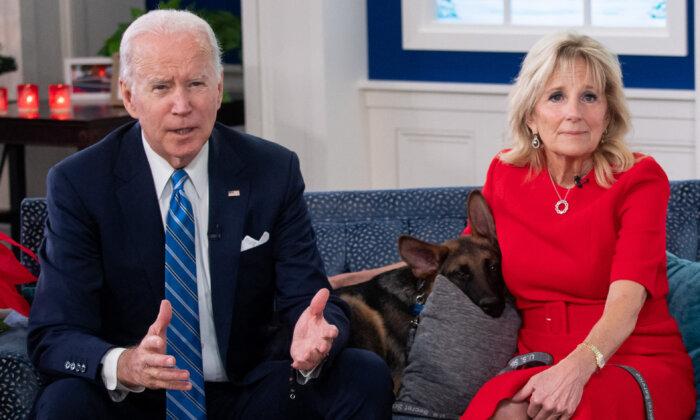 Biden Family Dog Has Bit Secret Service Agents At Least 24 Times: Documents