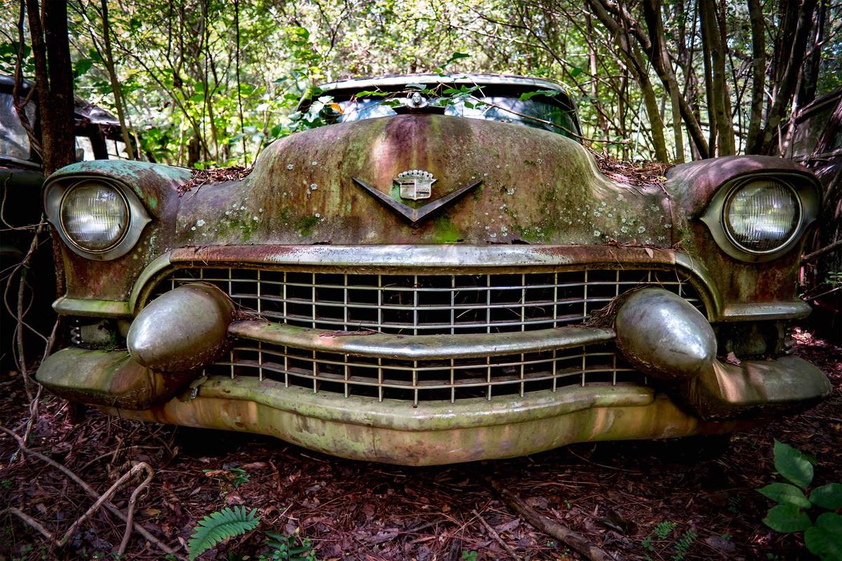 Detail of a wrecked car grille at Old Car City, near White, Georgia. (R David Puckett/Shutterstock)