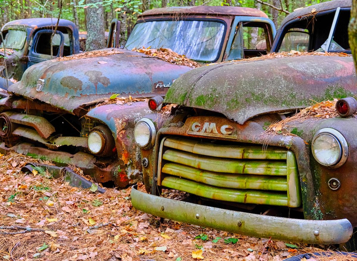 A line of old pickups sit covered in rust at Old Car City, near White, Georgia (Darryl Brooks/Shutterstock)