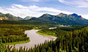 470 Miles of Alaskan Railroad Adventures