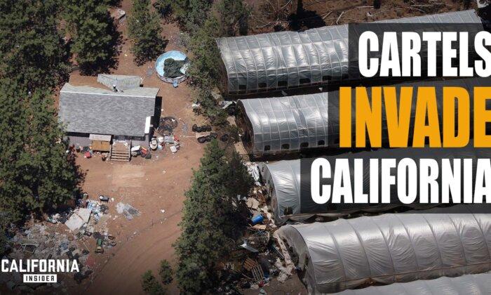 How Cartels Are Taking Over California’s Rural Counties | Jeremiah LaRue