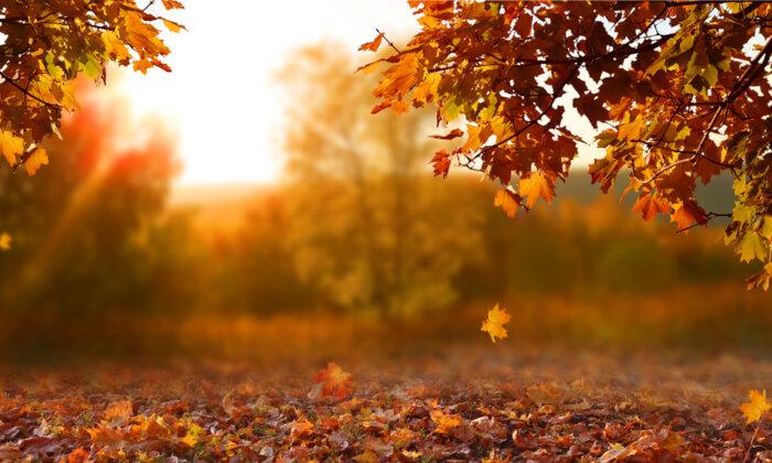 ‘To Autumn’ by John Keats: A Beginning and an Ending of a Season