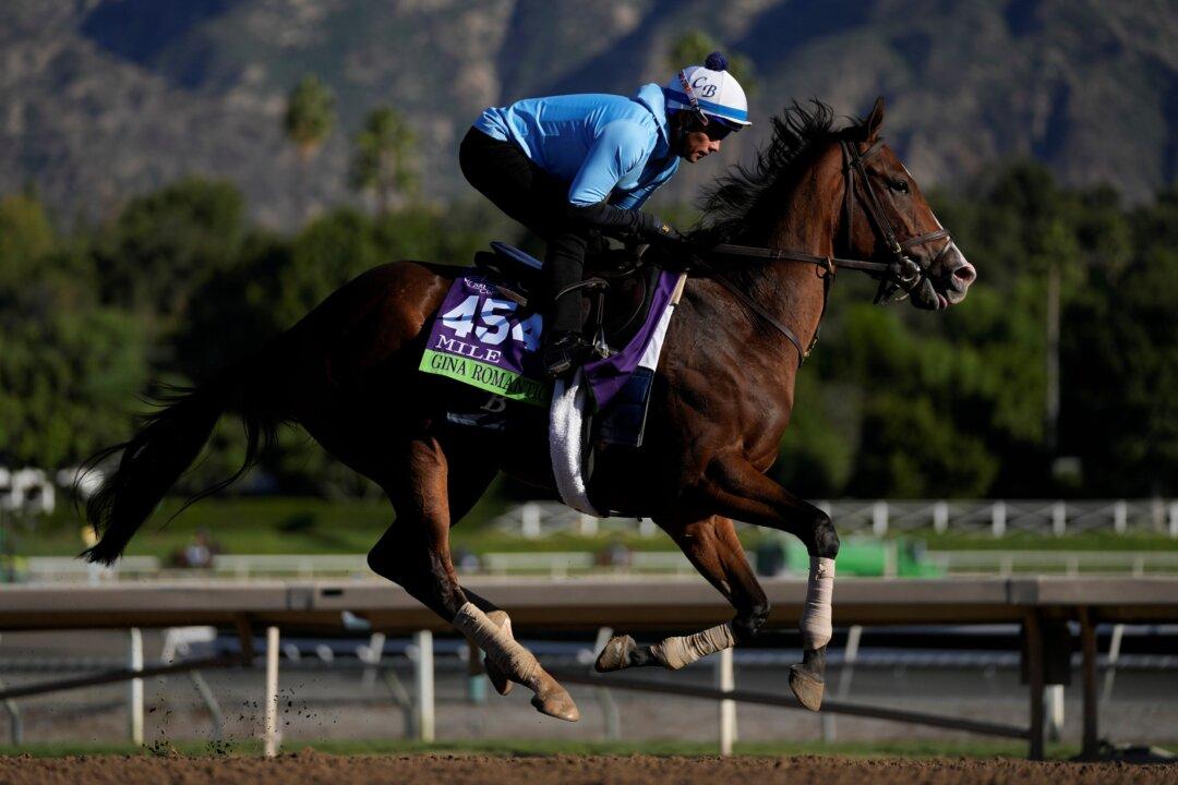 Racehorse Deaths This Year Has Breeders' Cup Under Intense Scrutiny
