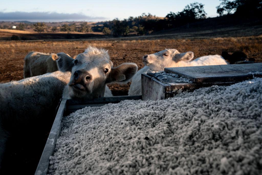 The Collapse of Australia-EU Trade Negotiations Is Good for Aussie Farmers