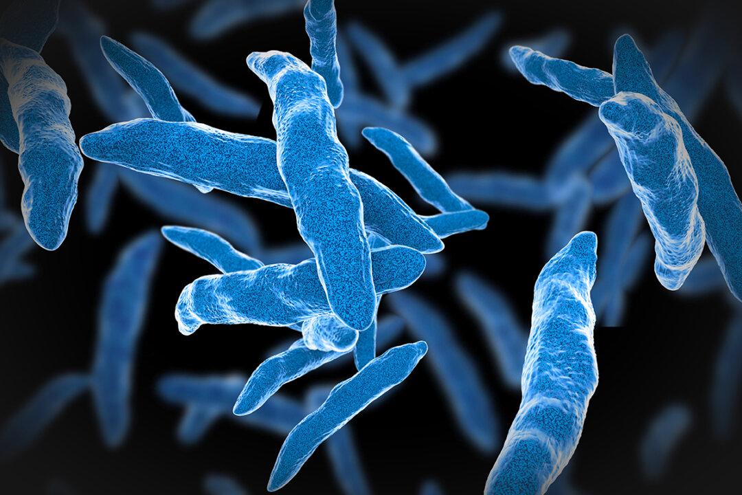 Tuberculosis Surpasses COVID-19 as Most Deadly Infectious Disease