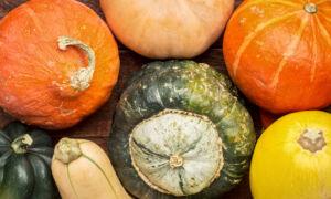 3 Squash Recipes That Make the Most of the Fall Fruit