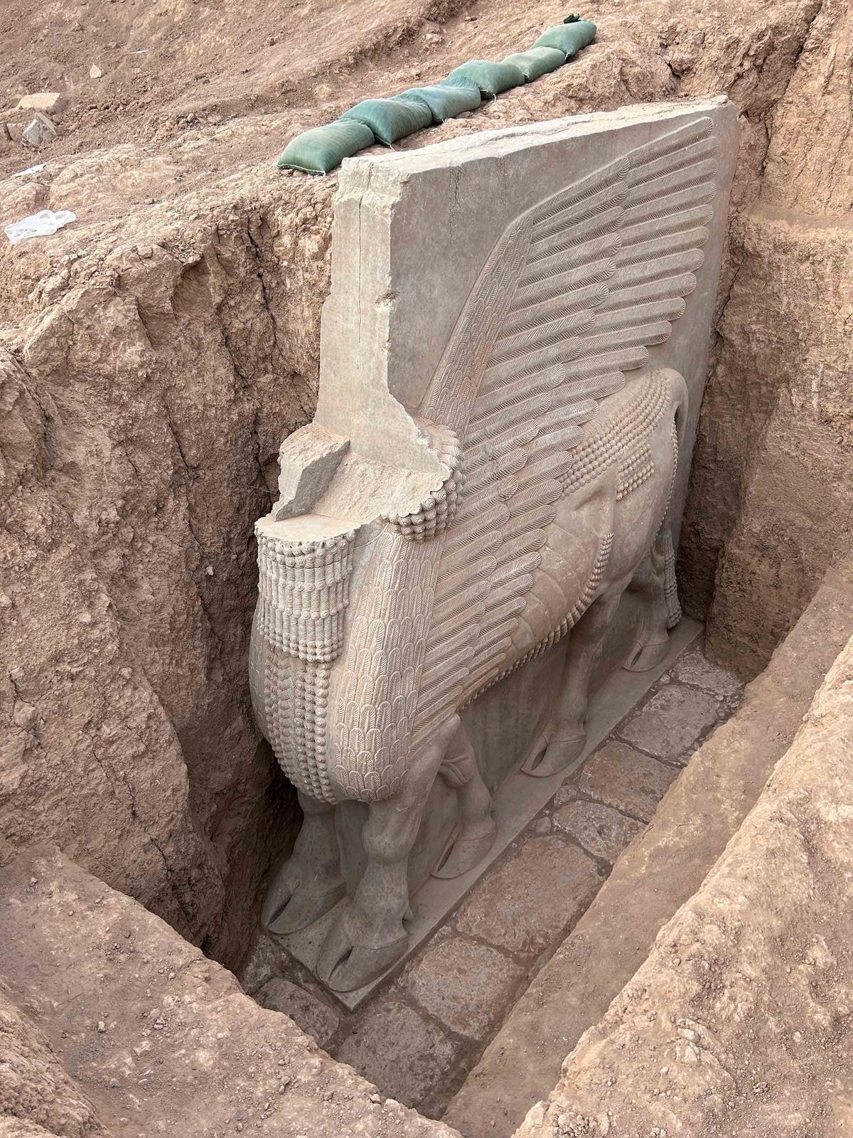  A headless lamassu statue at a dig site in Khorsabad, Iraq. (Courtesy of Mission archéologique française à Khorsabad, P. Butterlin)