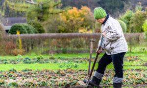 How to Properly Prepare Your Garden for Winter