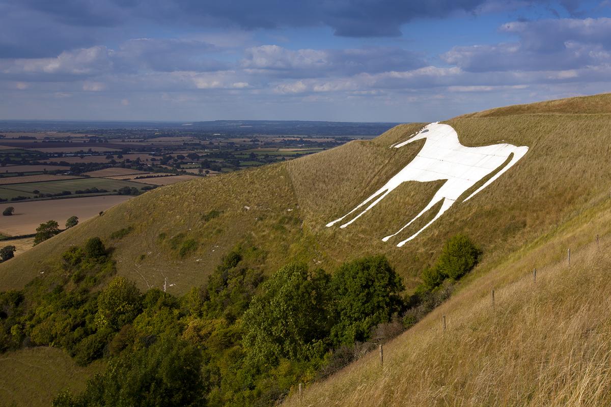 A landscape view of the remodeled Westbury White Horse to commemorate King Alfred's victory over the Danes at the Battle of Ethandun on the edge of Bratton Downs, Wiltshire, England. (Alan Jeffery/Shutterstock)