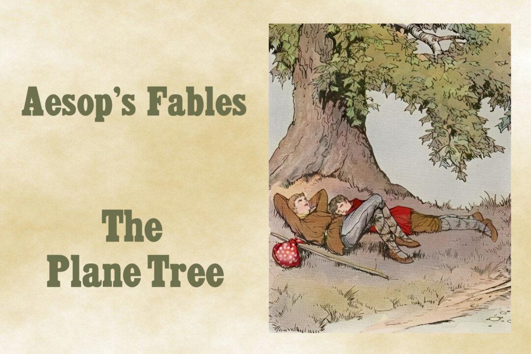Aesop's Fables: Our Best Blessings Are Often the Least Appreciated
