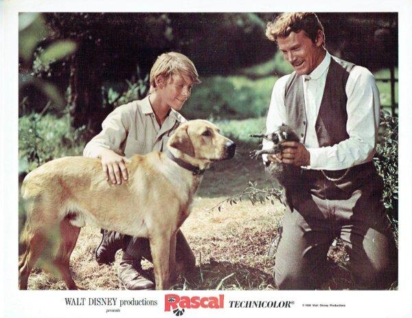 Sterling North (Bill Mumy, L) and his father Willard (Steve Forrest), in “Rascal.” (Buena Vista Distribution)
