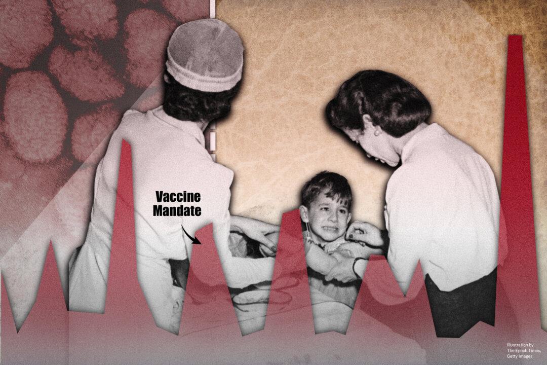 Did the Vaccine Eradicate Smallpox?