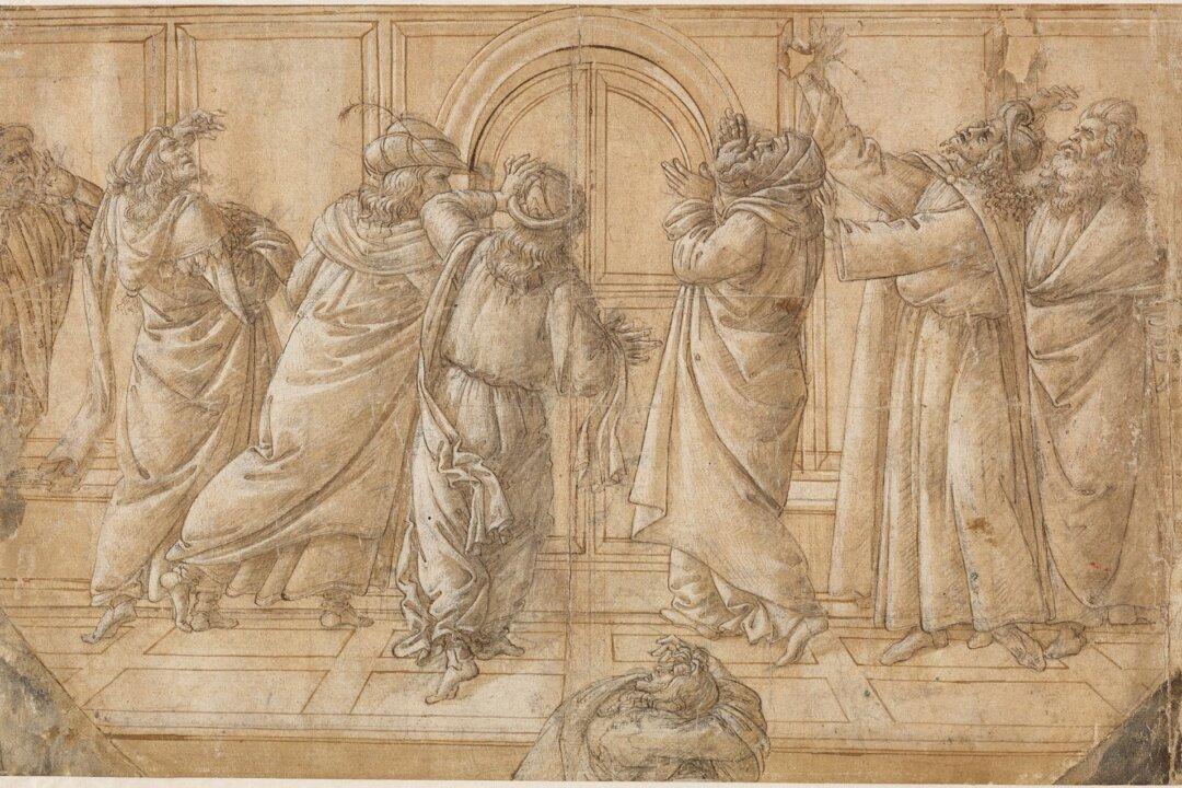 Botticelli’s Art of the Line