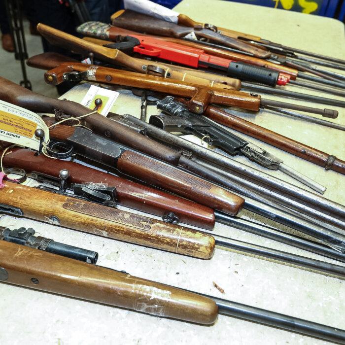 ‘$45 per Gun’: Senator Concerned at Cost of National Gun Register