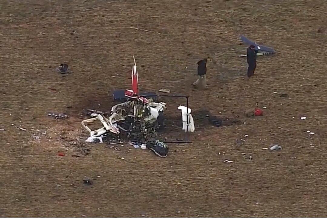 Goose Found in Flight Control of Medical Helicopter That Crashed in Oklahoma, Killing 3
