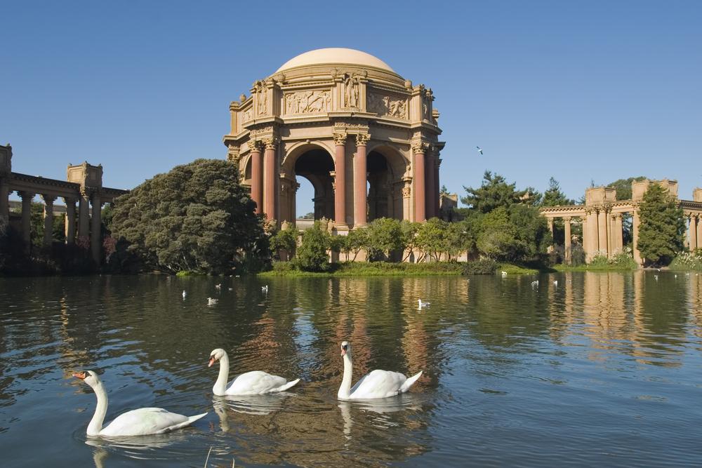 A stunning lagoon surrounds the structure, enhanced by gardens, walkways, and swans.  Swans have made the Palace of Fine Arts their home for generations, adding to the structure’s sense of tranquility and beauty.(Rafael Ramirez Lee/Shutterstock)
