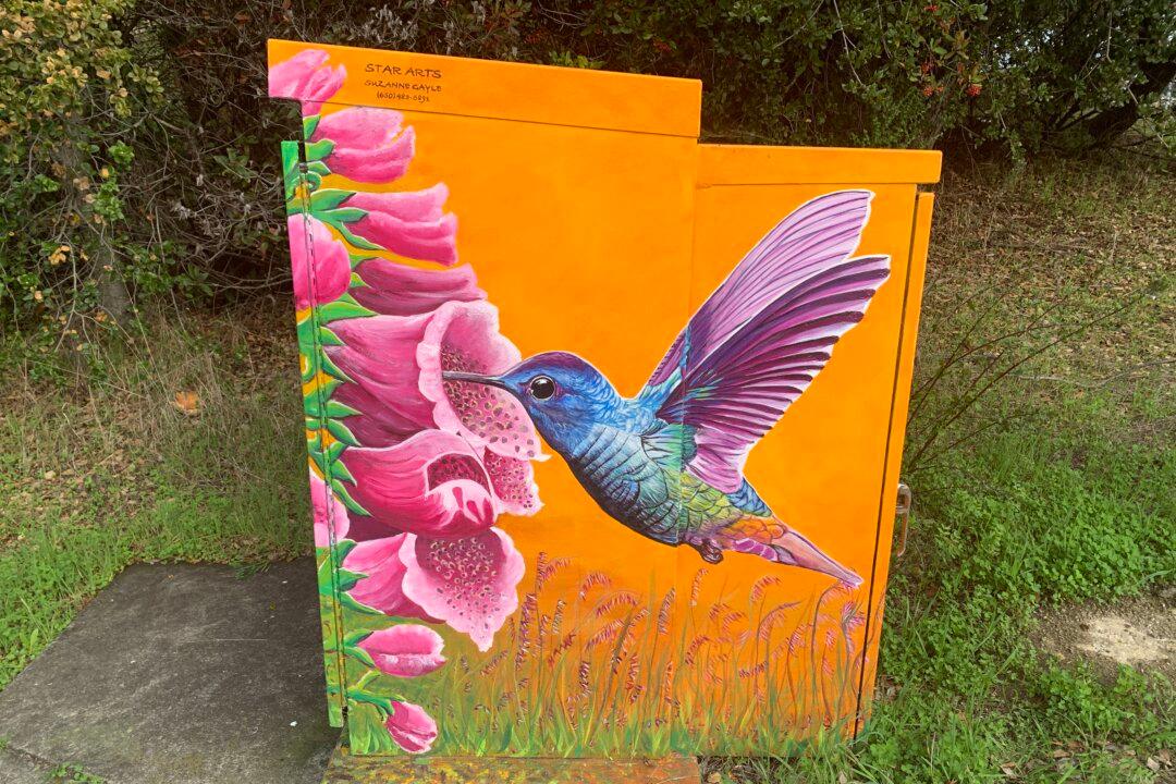 Artist Beautifies Bay Area Cities by Painting Art on Public Utility Boxes