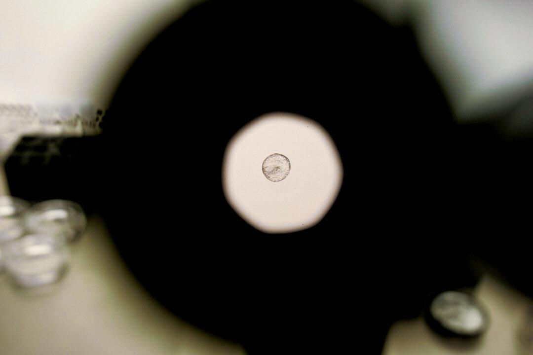 In Vitro Embryos Are Children Protected Under Law: Alabama Supreme Court