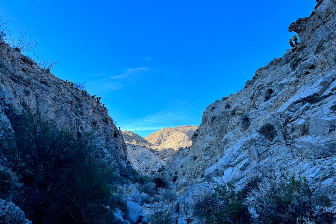 Embrace the Desert Season With a Camping Trip to Anza-Borrego This Winter